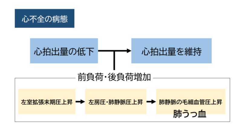 心臓悪液質の原因