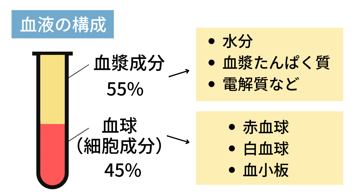 貧血と心不全の診断